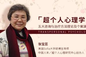 张宝蕊·超个人心理学：五大咨询与治疗方法 个案演示课程