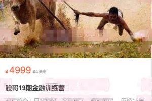 股哥·只会炒股训练营第19期(百度网盘)