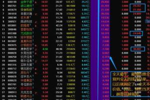 散人竞价擒龙系统8.5 终极版指标源码（带软件）