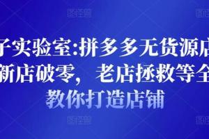 野路子实验室电商课程:拼多多无货源店群项目，全方位教你打造火爆店铺