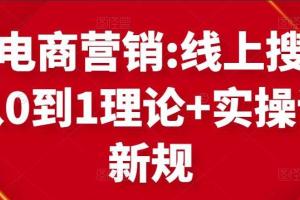 跨境电商运营课:电商搜索营销快速入门（理论 实操）