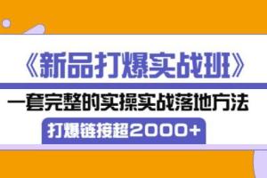 凌童电商·新品打爆实战班,一套完整的实操实战落地方法（28节课)
