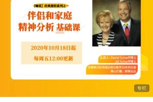咖说伴侣和家庭精神分析基础课