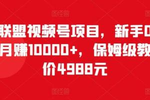 猎人联盟视频号项目教程，新手0基础轻松月赚10000 （原价4988元）