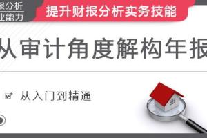 史上最全财报分析框架课 (审计角度解构)
