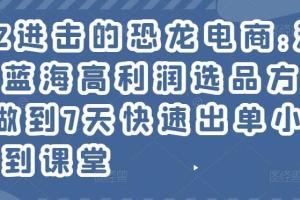 进击的恐龙电商·淘宝小众蓝海高利润选品方法论，做到7天快速出单小白也能做到