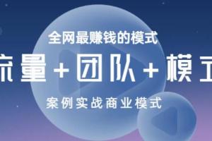全网最赚钱的商业模式课程（流量 团队 模式）