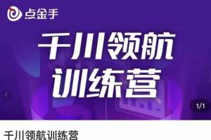点金手·千川领航训练营：干川逻辑与算法的剖析与讲解（原价999）