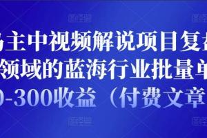 黄岛主中视频解说项目复盘文章：细分领域的蓝海行业批量单天200-300收益