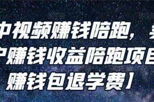 逆冬中视频赚钱陪跑项目课程