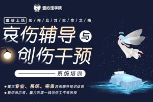 刘双阳·哀伤辅导与创伤干预系统培训课程(应对生命之殇心理课)