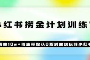小红书捞金计划训练营：粉丝10w 博主带你从0粉到赚钱