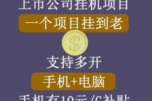 睿思挂机项目·支持手机 电脑 虚拟机多开的赚钱项目