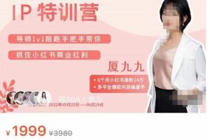 厦九九·28天小红书博主IP特训营（第6期）