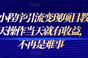 微信小程序引流变现项目教程（当天出单带素材）