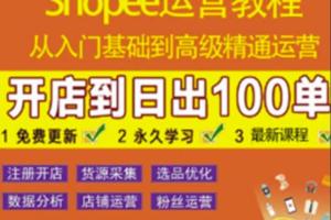 shopee运营新手入门全套教程（141GB）