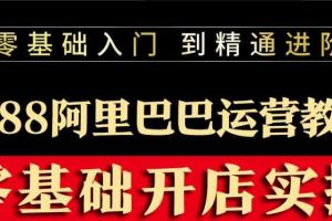 阿里巴巴1688运营自学全套教程（2022）