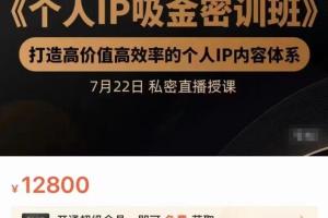 桔子会个人IP吸金密训班，打造高价值的个人IP内容体系（原价12800元）