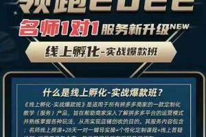 牛气学堂·老陶电商：拼多多线上孵化实战爆款班【第9期】