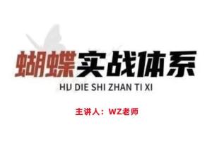 无为王志老师蝴蝶实战体系课程
