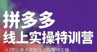 青云·拼多多爆单运营实操特训营（原价2980元）