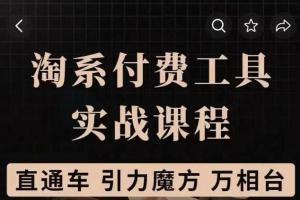 淘系付费工具实战课程：直通车 引力魔方 实操演练（原价1299）