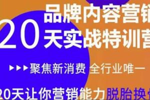 品牌内容营销实操特训营,20天让你营销能力脱胎换骨(原价3999)