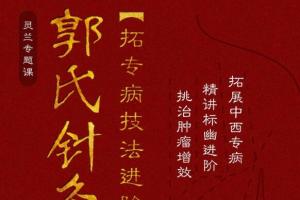 灵兰·郭氏针灸第二部进阶课