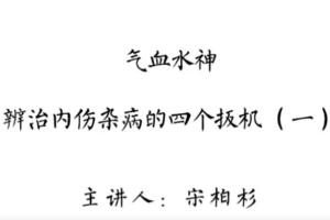 灵兰中医·气血水神宋柏杉：辩治内伤杂病的“四个扳机”（百度网盘）
