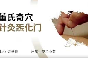 灵兰·左常波董氏针灸视频全集