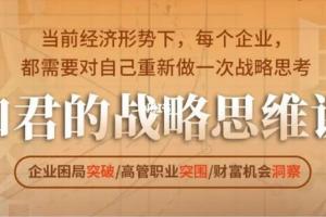 和君的战略思维课（第24期）