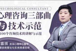 傅嘉祺·心理咨询三部曲与技术示范，四大阶段11大学派（75集）