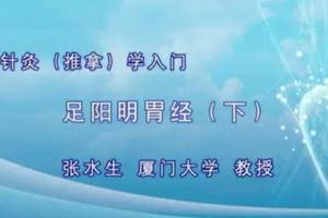 厦门大学·张水生针灸入门课程（41讲全）