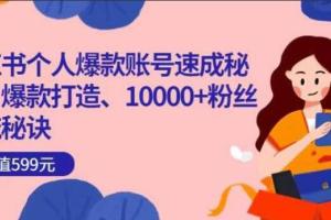 小红书个人爆款账号速成课，爆款打造 引流秘诀