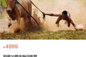 股哥训练营·只会炒股第20期（百度网盘）
