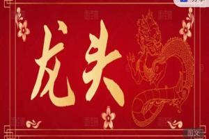 作手小泽·从小散到游资的24节课（进阶提升篇）