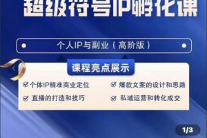 巨象超级IP孵化高阶陪跑课（百度网盘）