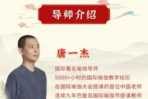 唐一杰·十二经络养生实修深度班视频课（百度网盘）