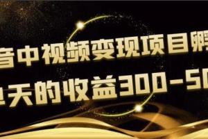 黄岛主·抖音中视频变现项目孵化教程（单天收益300-500）