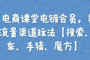 大王真电商课堂电镀会员营销课（搜索 直通车 手猜 魔方）