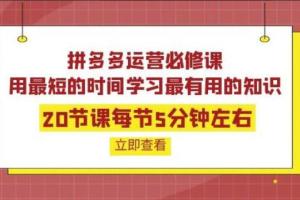 拼多多运营培训课程(百度网盘)