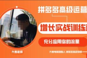 拼多多高级运营培训课程百度云（原价2980元）