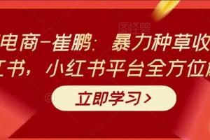 老高电商·崔鹏：暴力种草收割机小红书平台全方位解析