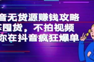 抖音无货源赚钱项目教程：不囤货，不拍视频，带你在抖音疯狂爆单