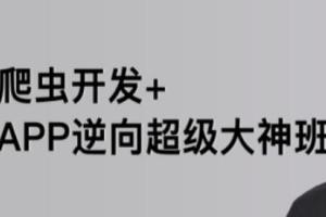路飞爬虫开发 app逆向超级大神班1-3期（原价4999元）