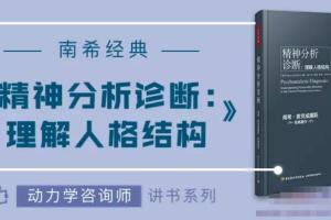 动力学咨询师讲读·南希经典《精神分析诊断：理解人格结构》