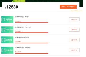 网易云微专业·安卓高级开发工程师课程价值12580元（百度网盘）