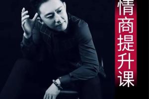 业哥情商提升课（百度网盘）