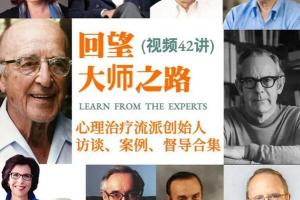 糖心理·回望大师之路视频42讲（百度网盘）