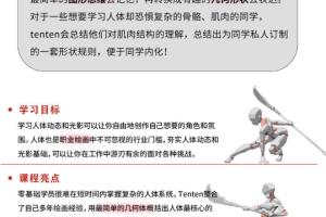 tenten云·2022年人体结构动态画画基础第五期（百度网盘）
